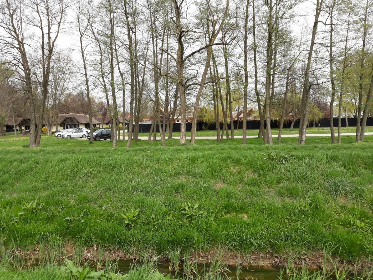Apartma C-06, C-11 Moravske Toplice Exteriér fotografie